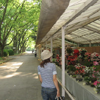 d0033734_11454994.jpg