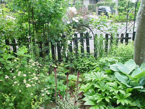 f0060535_205123.jpg