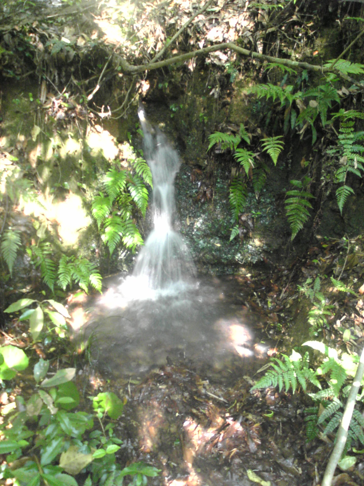 a0074938_23304582.jpg