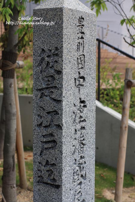a0076043_23242480.jpg