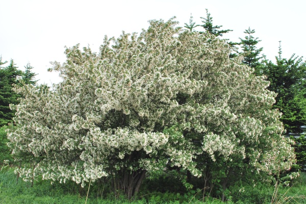 f0166545_135353.jpg
