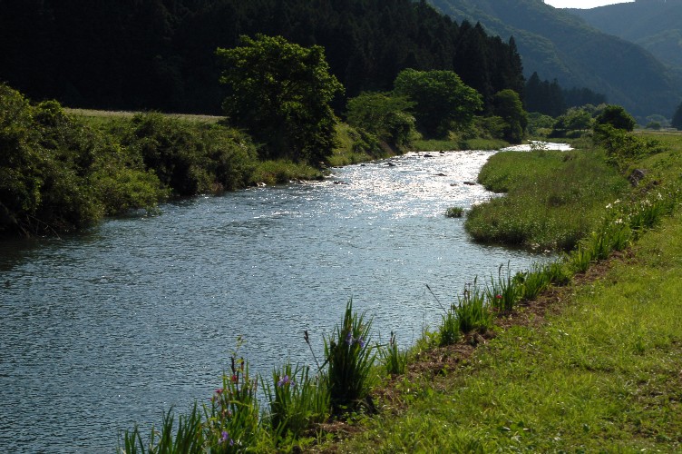 e0009147_19452115.jpg