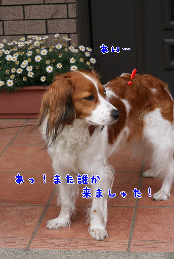 d0013149_10155123.jpg