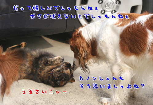d0013149_1022166.jpg