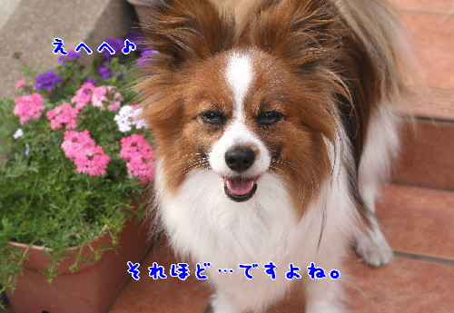 d0013149_9452423.jpg