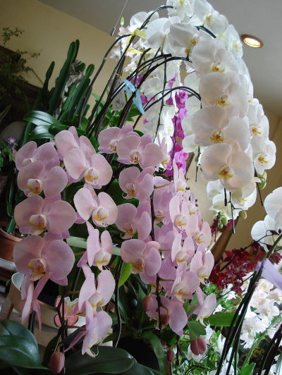 f0041850_17524761.jpg