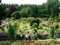 f0035251_6294019.jpg