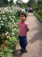 f0035251_631681.jpg
