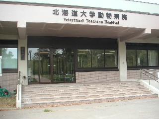 d0006253_1928158.jpg