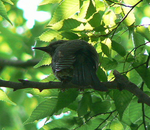 d0091754_2251464.jpg