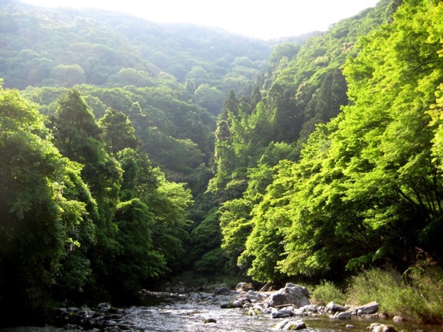 a0073360_071831.jpg