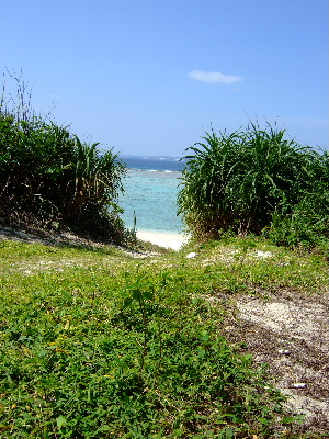 d0102664_0125939.jpg
