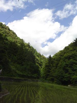 f0055264_21551840.jpg