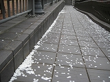 a0093965_2213577.jpg