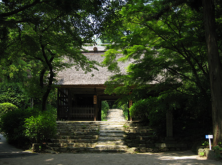 c0104371_1011682.jpg