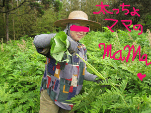 d0050871_1933355.gif