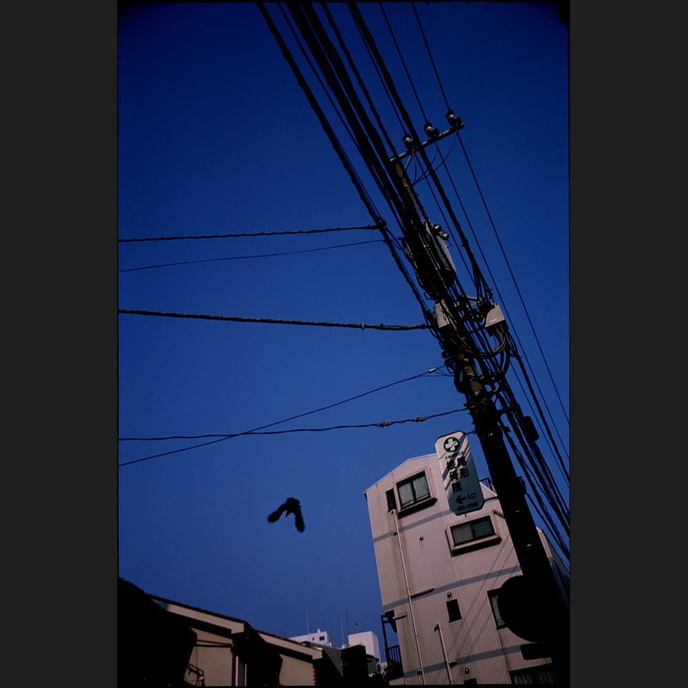 c0118173_2232887.jpg
