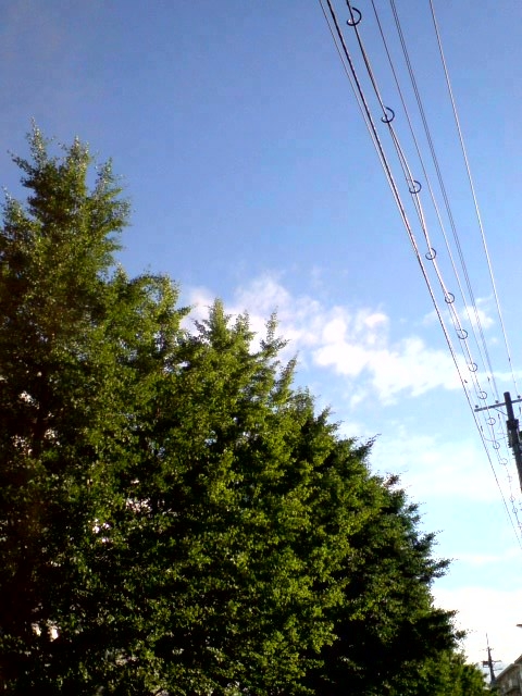 d0147774_23492376.jpg
