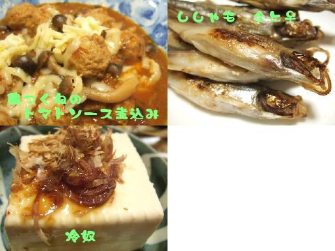 a0009079_1105327.jpg