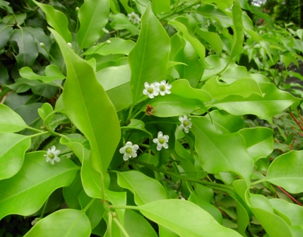 a0091680_10452888.jpg