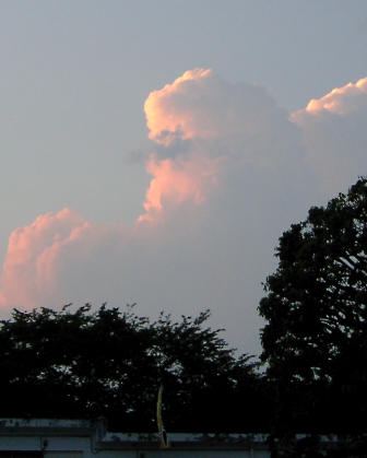 a0091680_10462277.jpg