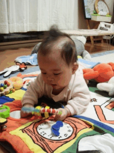 b0139380_136772.gif
