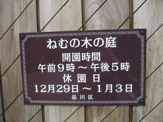 e0132881_010648.jpg