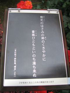 e0132881_226123.jpg