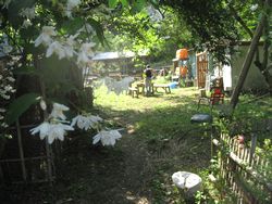 f0053885_23361555.jpg