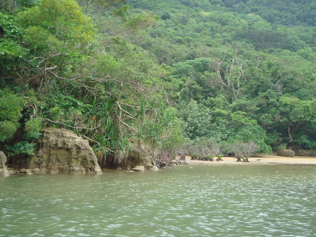 c0139388_232813.jpg