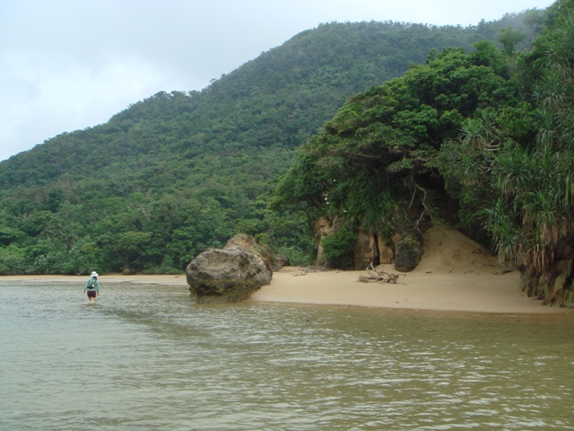 c0139388_23284992.jpg