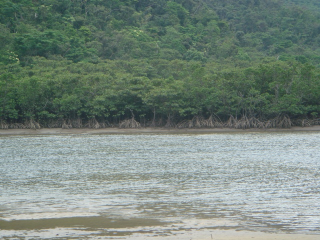 c0139388_23455675.jpg