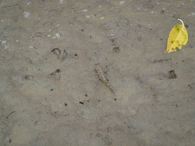 c0139388_23574689.jpg