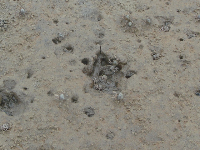 c0139388_23581519.jpg