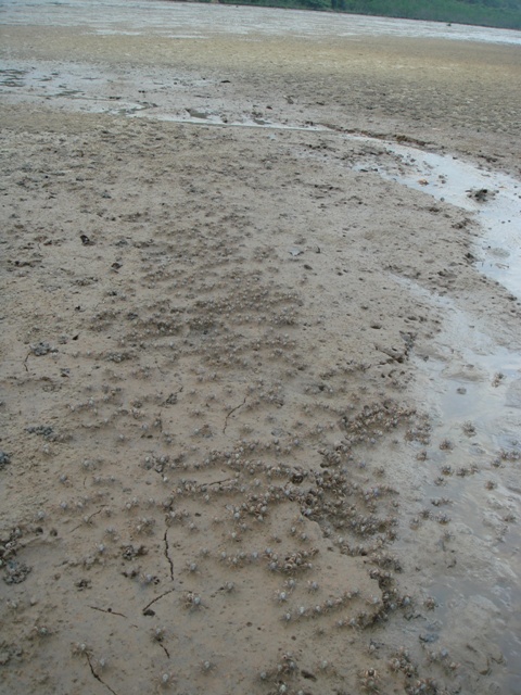 c0139388_2359497.jpg