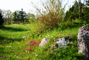 e0010495_1718578.jpg