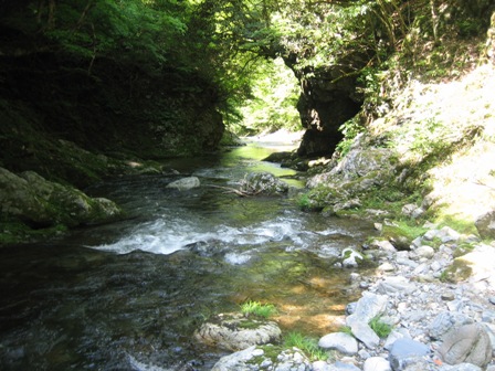 c0147398_143713.jpg