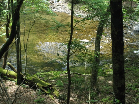 c0147398_145727.jpg