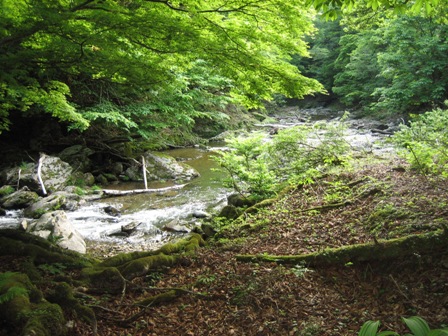 c0147398_1463078.jpg