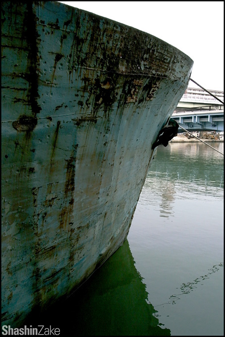 c0102003_1875670.jpg