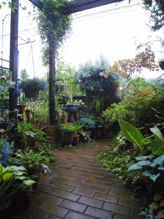f0065604_2040734.jpg