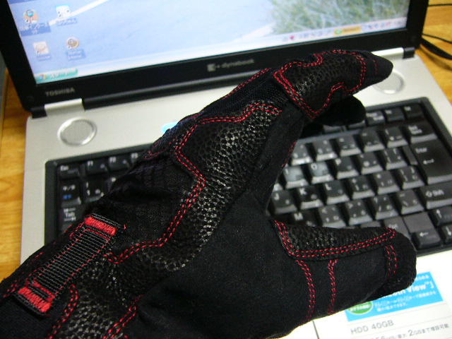e0015108_354846.jpg