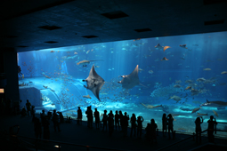 e0139312_20484634.jpg