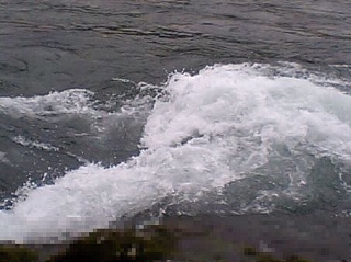 a0059315_22193222.jpg