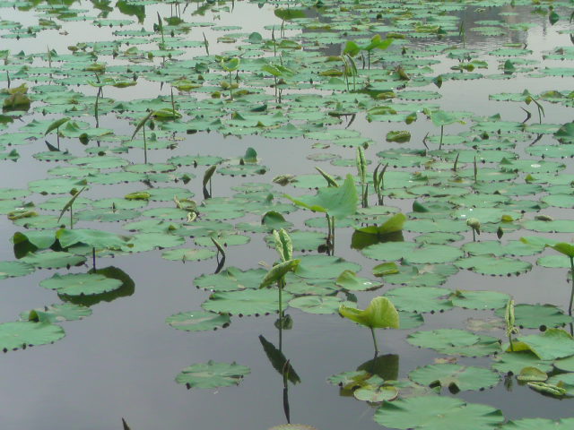 e0016828_0271392.jpg