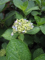 e0121228_015765.jpg