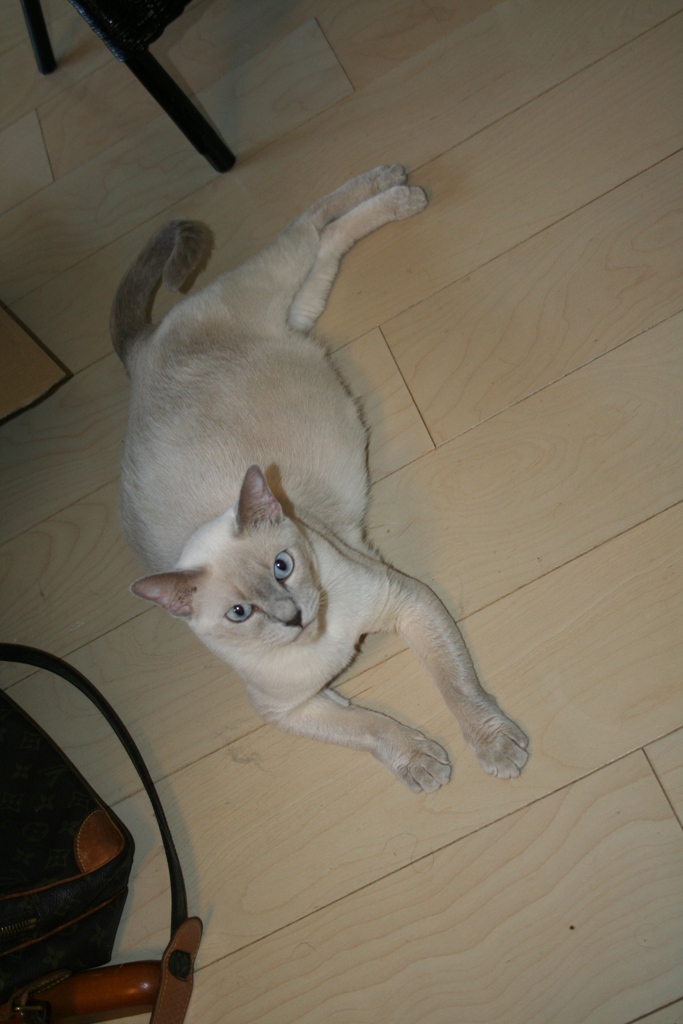 a0090729_8442429.jpg