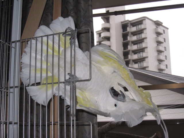 e0107730_18354550.jpg