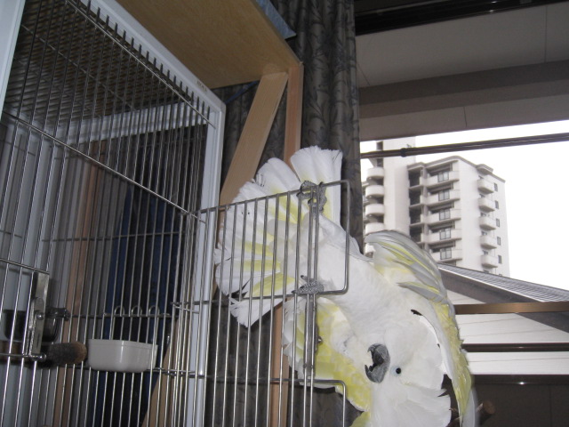 e0107730_1835672.jpg