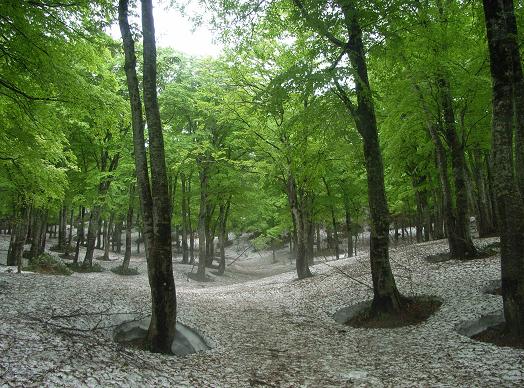 f0118332_049097.jpg